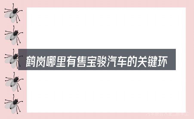 鹤岗哪里有售宝骏汽车的关键环节