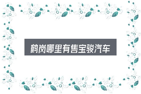 鹤岗哪里有售宝骏汽车怎么看？判断标准与取舍思路