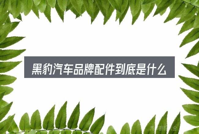 黑豹汽车品牌配件到底是什么
