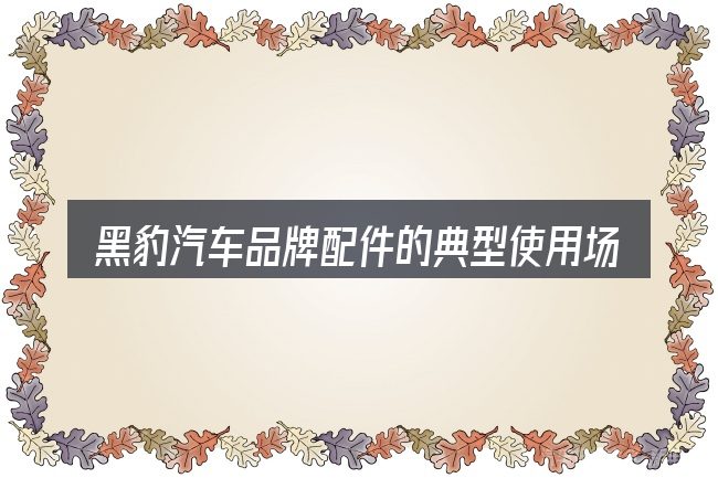 黑豹汽车品牌配件的典型使用场景