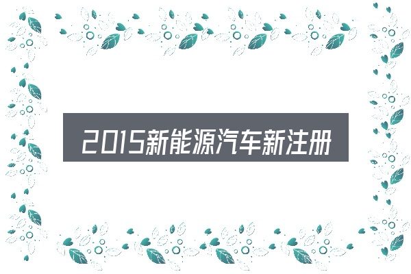 2015新能源汽车新注册登记入门笔记：从选车到用车的实际经验