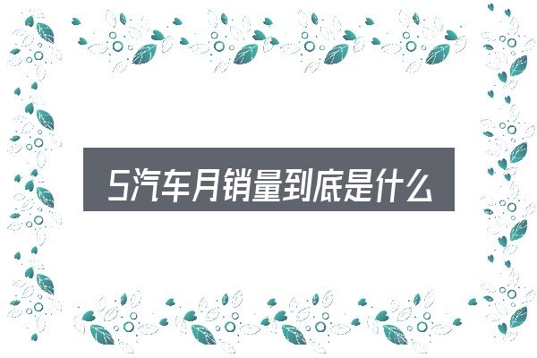5汽车月销量到底是什么