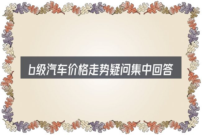 b级汽车价格走势疑问集中回答