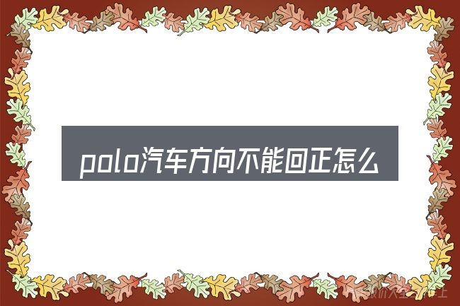 polo汽车方向不能回正怎么选才不容易出错